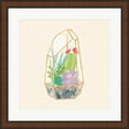 thumbnail image 1 of Succulent Terrarium VI by Wild Apple Portfolio, Framed Wall Art, 19.75W x 19.75H, 1 of 1