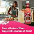 thumbnail image 4 of (Pack of 12) Master of Mixes Mixer Paloma 33.8 Fo, 4 of 5