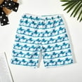 thumbnail image 1 of Augper 5-13 Years Children's Sun Beach Pants Boys' Swimming Trunks Beach Sports Shorts for Older Children During Seaside Vacations, 1 of 5