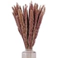 thumbnail image 1 of Ramo de hierba de pampa seca natural oso de fresa 30 piezas 60 cm Decoración marrón para bodas hogares, 1 of 5