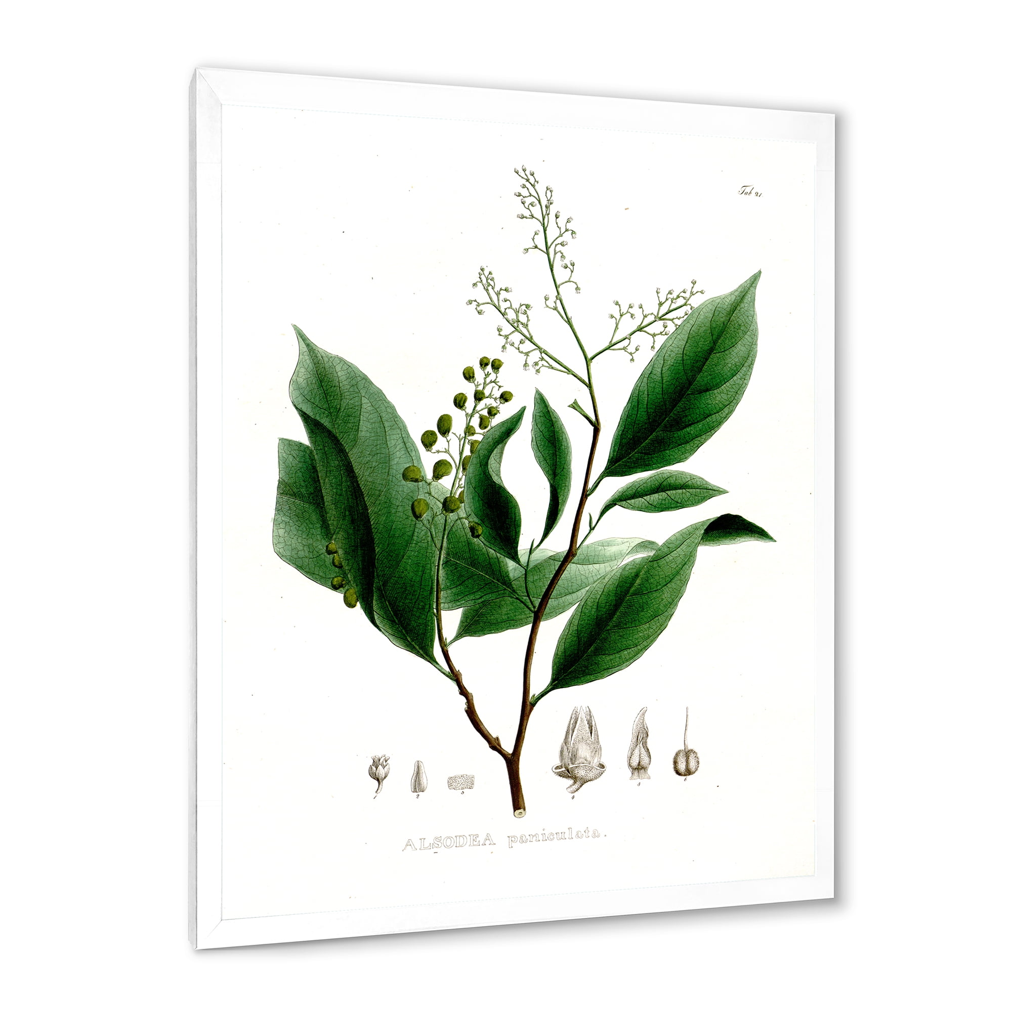 Designart 'Ancient Brazilian Plant II' Traditional Framed Art Print