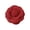 Red, variant on Women Brooch Fabric Camellia Shape Anti-slip Wear-resistant Suit Coat Collar Hat Scarf Decoration Clothes Pin Prom Party Garment Jewelry