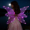 thumbnail image 1 of BotaniNest Light Up Cosplay Fairy Angel Prop For Photography Stage Performance And Halloween Costume Party, 1 of 5
