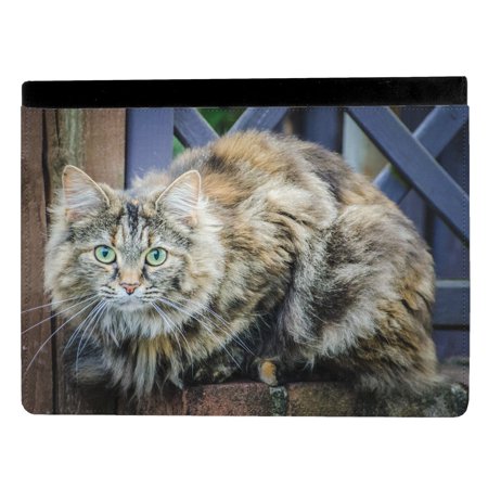 Long Haired Calico Cat Kitten Apple Ipad Pro 12 9 Inch Leather