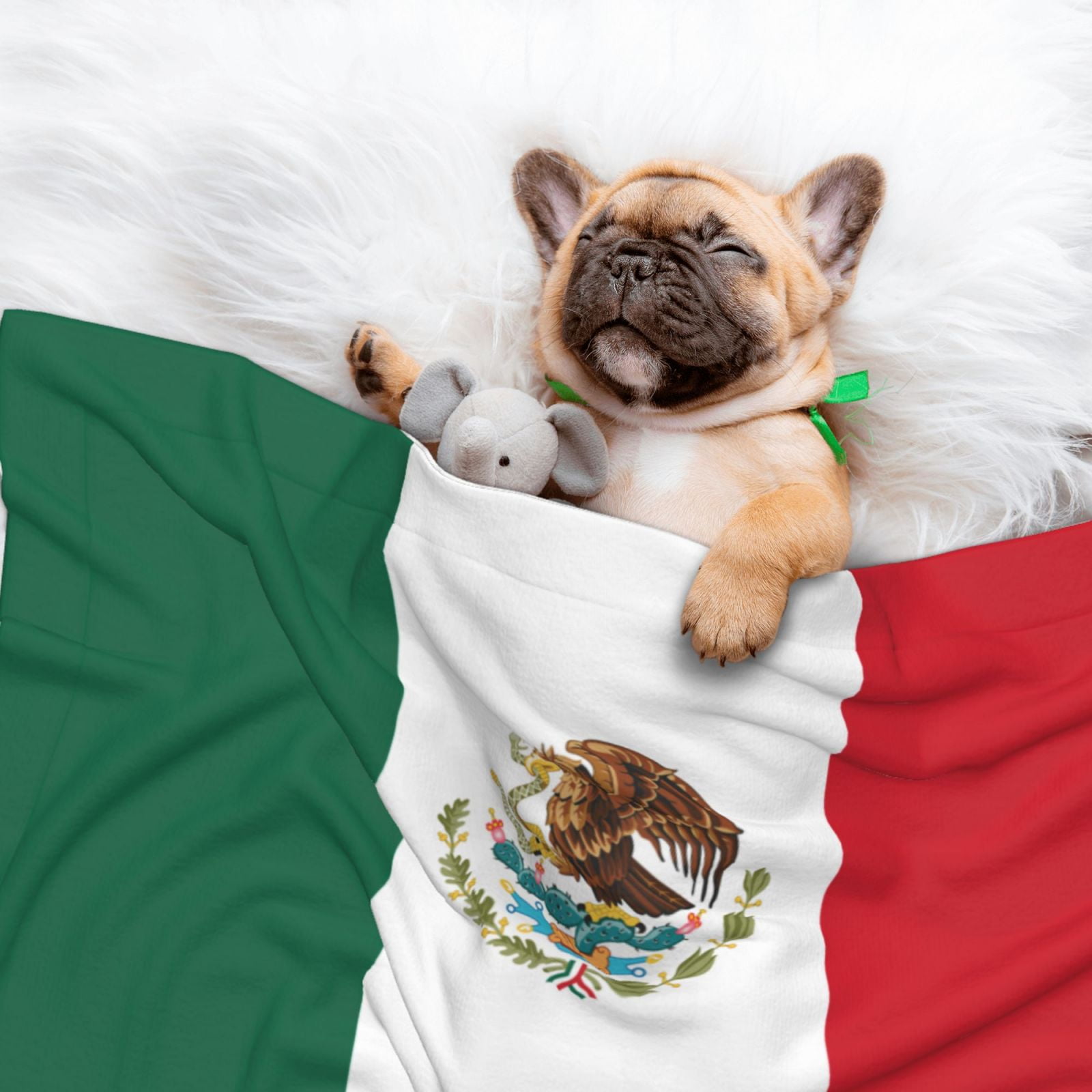 Flag-Of-Mexico Dog Blanket Soft Warm Flannel Cat Blanket Great Pet Throw for Cats Puppy Small Medium Large Dog