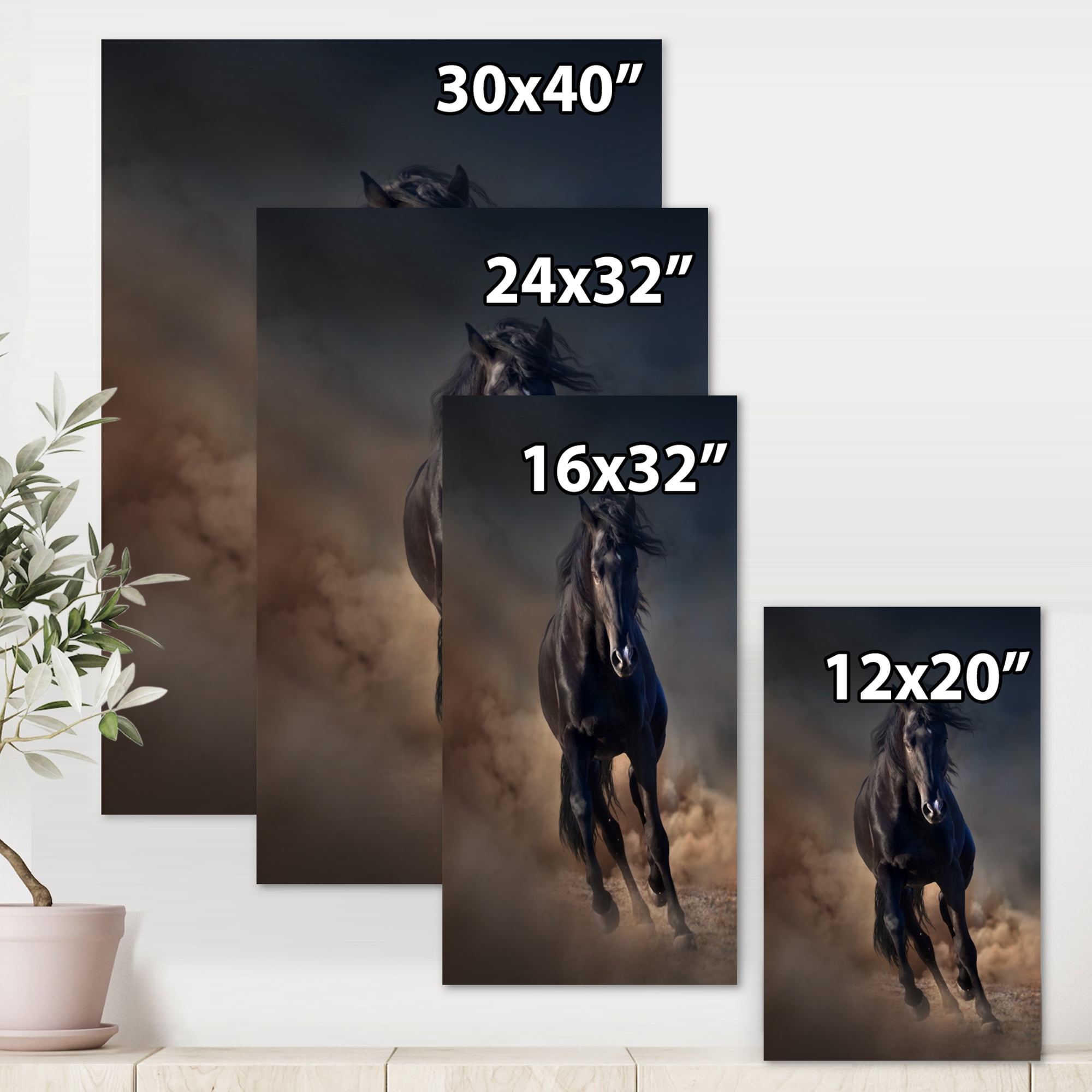 Designart ' Close Up Of Thoroughbred Nonius Stallion Horse I ' Farmhouse Canvas Wall Art Print
