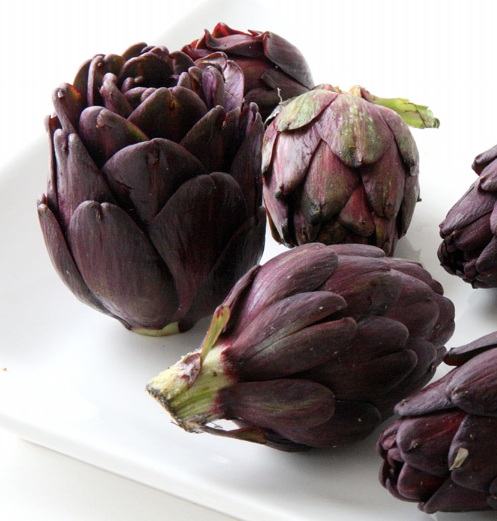 Purple Artichoke Plant Delicious Perennial Vegetable Easy to Grow 4" Pot