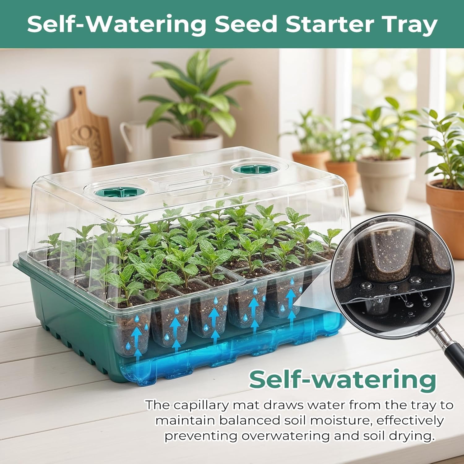 Self-Watering Seed Starter Tray, Seed Starter Kit with Humidity Vented Domes and Lid for Indoor Greenhouse
