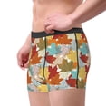 thumbnail image 2 of Fotbe Fall Maple Leaves Men’s Total Support Pouch Boxer Briefs, X-Temp Cooling, Moisture-Wicking Underwear, Regular, Long-leg and Trunk-Large, 2 of 6