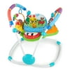 FEIFELY Neighborhood Friends Activity Jumper with Lights and Melodies
