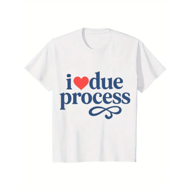 i Love Due Process Shirt, pro immigration Shirt, Protest Rights Tee, Legal T-Shirt,Legal Rights apparel support immigrants protest