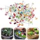 thumbnail image 2 of 80pcs Miniature Mushroom Decoration Bonsai Pot Inserting Small Mushroom Micro Garden Mushroom Decors, 2 of 3