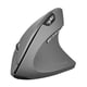thumbnail image 2 of Ratón óptico Ergonómico Inalámbrico de GHz con Receptor USB 6 Niveles de DPI Ajustables gris Soledad Ratón vertical inalámbrico, 2 of 8