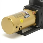 Hayward W3SP2607X10 Super Pump 1 HP Single Speed Pool Pump, 115/230V