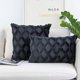 thumbnail image 4 of Dinheiro JOJUSIS Fundas de Almohada Decorativas de Terciopelo de Lana Corta de Felpa Fundas de cojín de Estilo Lujo Fundas de Almohada de Piel sintética para sofá Dormitorio Paquete de 2 18 x 18, 4 of 6