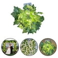 thumbnail image 4 of 1PC LED Fairy Lights Ivy Artificial Fairy Lights with Leaves Light Battery, 4 of 4
