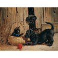 thumbnail image 1 of Cobble Hill Nosy Neighbors 500 Piece Jigsaw Puzzle, 1 of 1