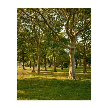 Juniper Valley Park, Queens - Queens New York Photography Unframed Wall Art Print 8 x 10 inches