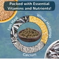 thumbnail image 5 of Snail & Shrimp 4mm-3/16" Sinking 40% Protein Nuggets for Snails, Shrimp, Axolotl, Salamanders, All Bottom Tropical Fish 4-lbs 12oz Jar, 5 of 5