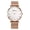 Rosegold, variant on Avaner Men's Analog Quartz Stainless Steel Watch:Round Case Bar Marker Dial Watch Business Casual for Men