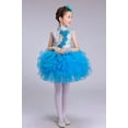 thumbnail image 1 of Vestido de princesa para niñas, elegante vestido de baile para niños, vestidos de salón de baile, jazz, hip hop, ropa de fiesta, trajes de Halloween y Navidad con lentejuelas para niñas, 1 of 5