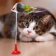 thumbnail image 1 of Juguete interactivo para gato Ehuebsd falso ratón primavera, 1 of 4