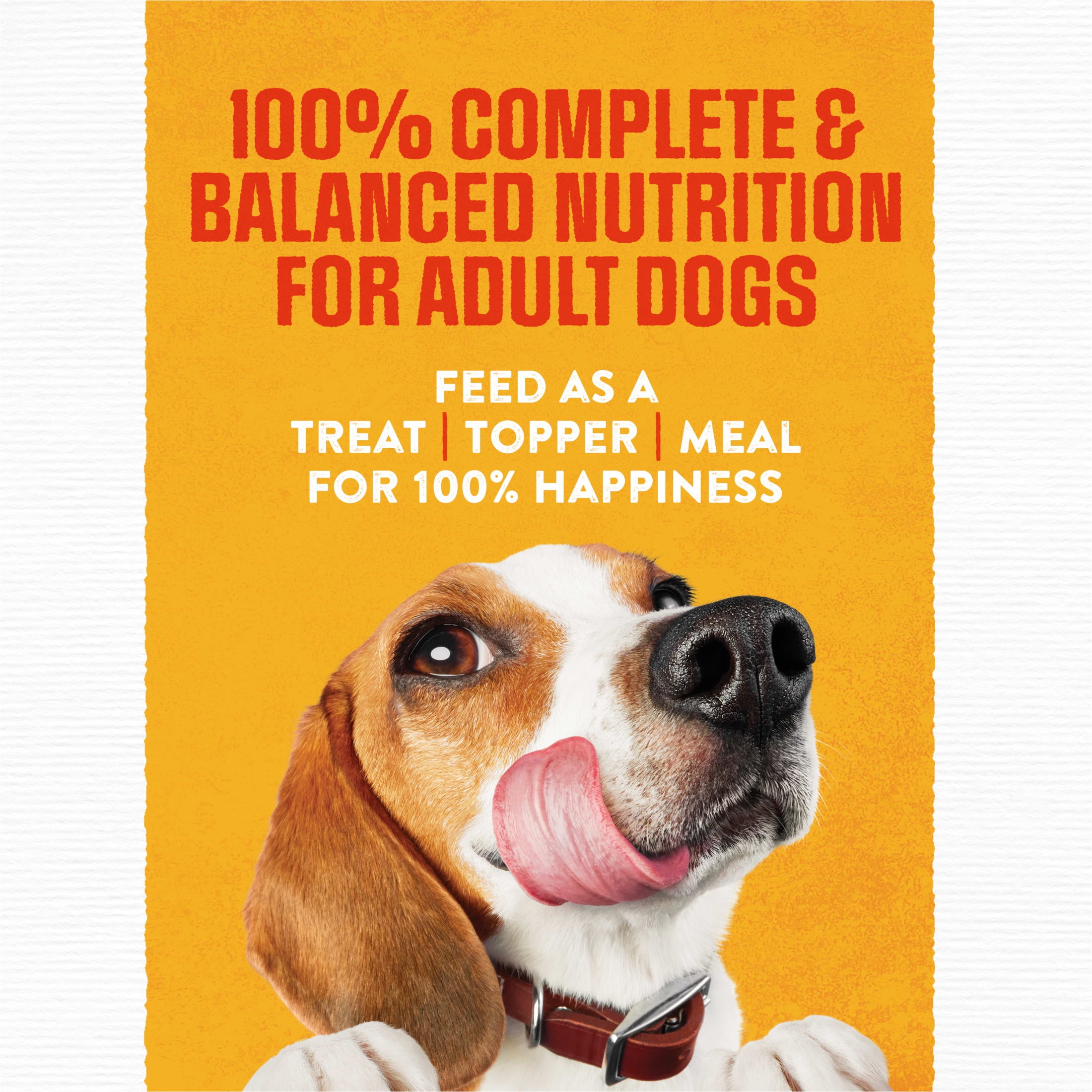 Purina Moist and Meaty Rise and Shine Awaken Bacon and Egg Flavor Soft Dog Food High Protein Pouches (12 Pouches)