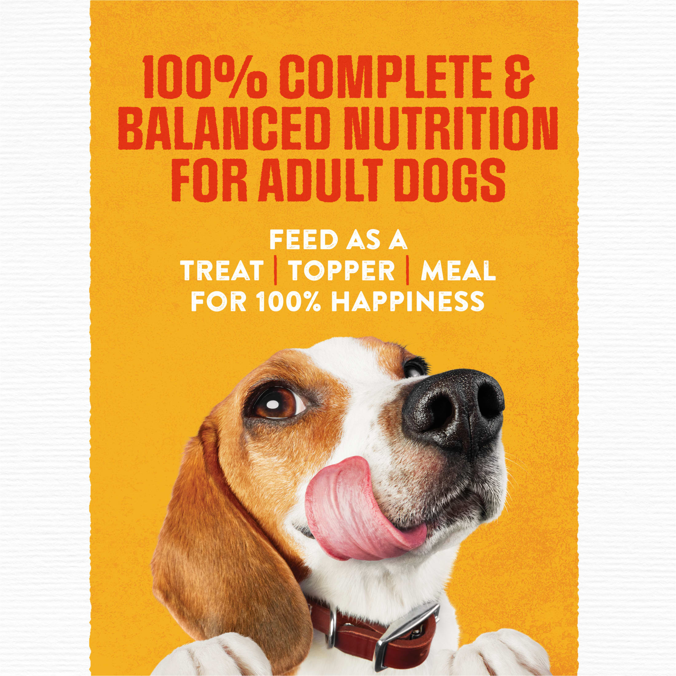 Purina Moist and Meaty Rise and Shine Bacon and Egg Dog Food, 12 Ct photo 5