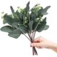 thumbnail image 3 of Xiao Hua 20 hojas artificiales de eucalipto con semillas blancas, flores artificiales cortas de dólar de plata para decoración, plantas verdes., 3 of 5
