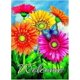 thumbnail image 1 of Bandera de jardín con diseño de mariposas, girasoles y margaritas, de 30 x 45 cm, doble cara, con flores de verano y mariposas de primavera., 1 of 5