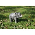 thumbnail image 1 of Figura de bebé elefante de Hi-Line Gift Ltd en poli-resina, 1 of 1