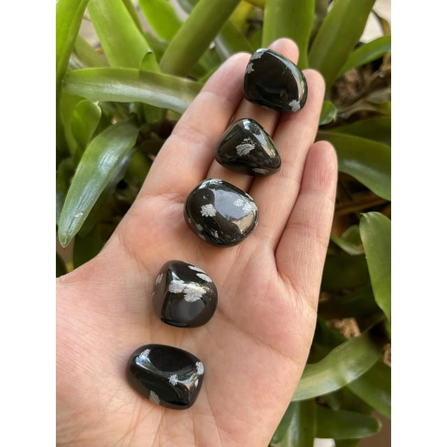 GAF TREASURES 5 Pcs Snowflake Obsidian Tumbled Stones, Polished Natural Snowflake Obsidian Gemstone, Snowflake Obsidian Healing Crystals (Snowflake Obsidian)