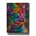 thumbnail image 1 of Epic Graffiti 'Felis' by Dean Russo, Canvas Wall Art, 40"x54", 1 of 8