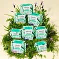 thumbnail image 5 of The Honey Pot Company, Herbal Daytime Heavy Flow Pads with wings, Organic Cotton Cover, 16 ct., 5 of 16