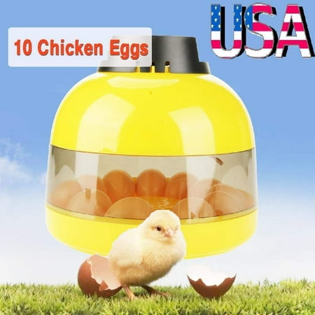 Ejoyous Egg Incubator,10 Chicken Eggs Mini LED Digital Incubator Poultry Hatcher Fan