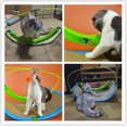 thumbnail image 4 of Indoor Cat Bed with Scratch Mat and Hanging Balls for Summer Activities, 4 of 4