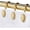 Gold, variant on Metal Shower Curtain Hooks, Oil-Rubbed Bronze Rustproof Decorative Shower Curtain Rings for Bathroom, Curtain Hooks for Shower Liner, 12Pcs