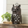 thumbnail image 4 of Evergreen 18"H LED Owl, 4 of 4