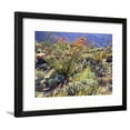 thumbnail image 1 of Blooming Ocotillo Cactus and Brittlebush Desert Wildflowers, AnzaBorrego Desert State Park, Botanical Framed Art Print Wall Art by Christopher Talbot Frank Sold by Art.Com, 1 of 1