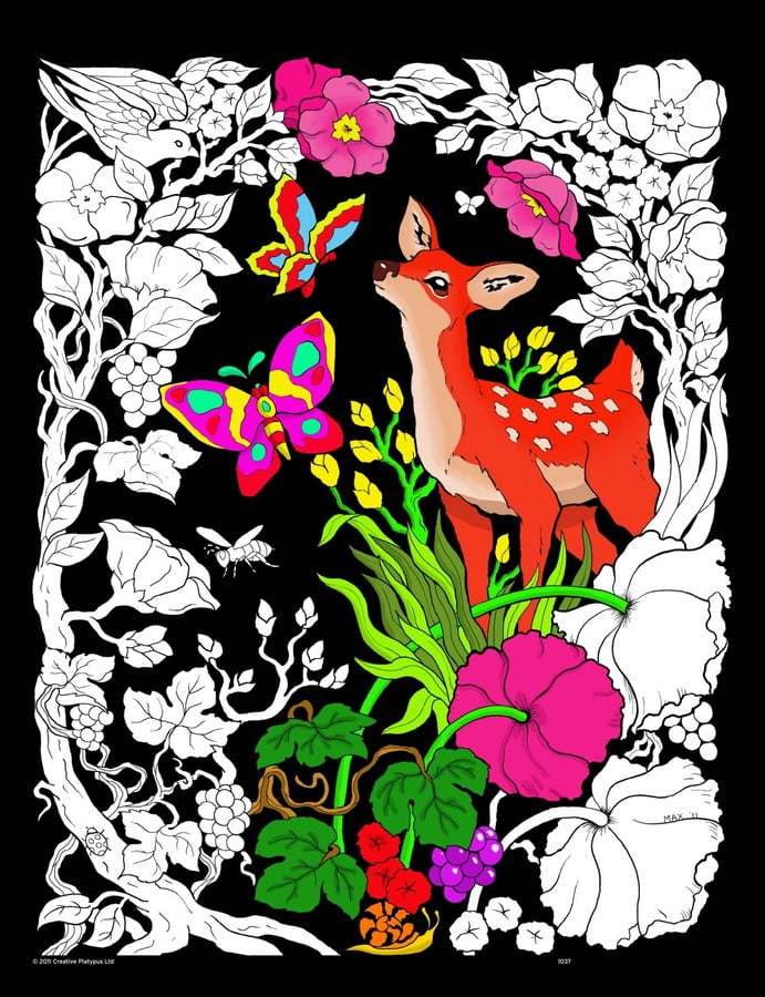 Large 16x20 Inch Fuzzy Velvet Coloring Poster Rainforest 