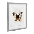 thumbnail image 3 of Stupell Industries Brown Washed Moth Gray Framed Print Under Glass, design by Creative Studio, 13 x 13, 3 of 10