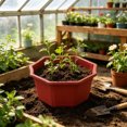 thumbnail image 5 of Shallow Succulent Plant Pots, Shallow Planter with Tray and Drainage Holes, Decorative Plastic Planters for Indoor and Outdoor Gardening, Succulent pots for Succulents Cactus and Herbs, 5 of 6