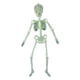 thumbnail image 1 of Esqueleto de Halloween Esqueleto luminoso que brilla en la oscuridad para accesorios de decoración de fiesta de Halloween, 1 of 5