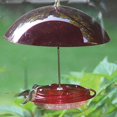 thumbnail image 3 of Birds Choice Hummerdome Mangeoire à Nectar 8oz. avec Kit de Protection contre les Intempéries, 3 of 4