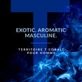 thumbnail image 2 of TERRITOIRE COBALT by YZY, 2 of 6