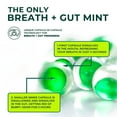 thumbnail image 3 of NUDE 6 pack of Mints Assorty 30 capsules l Gut Mints for Digestive Support + Bad Breath l Sugar-free, gluten-free, zero-calorie mints, 3 of 7