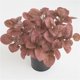 thumbnail image 2 of Billuyoard Hojas de eucalipto Planta artificial Hojas Centro de Hojas Oficina en el hogar Fiesta de boda Decoración Planta Plantas Artificiales rojo Billuyoard HA6648-06B, 2 of 6