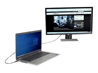 Black Box USB-C to DisplayPort Adapter Cable, 4K60, HDR, 3ft