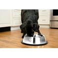 thumbnail image 4 of Iconic Pet 2-Pack Stainless Steel Non-Skid Pet Bowl For Dog Or Cat, 64 Oz, 8 Cup, 4 of 12