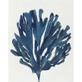 thumbnail image 1 of Jeco HD-WD028 16 x 20 in. Tree Oil Paint Wall Decor, Blue, 1 of 1